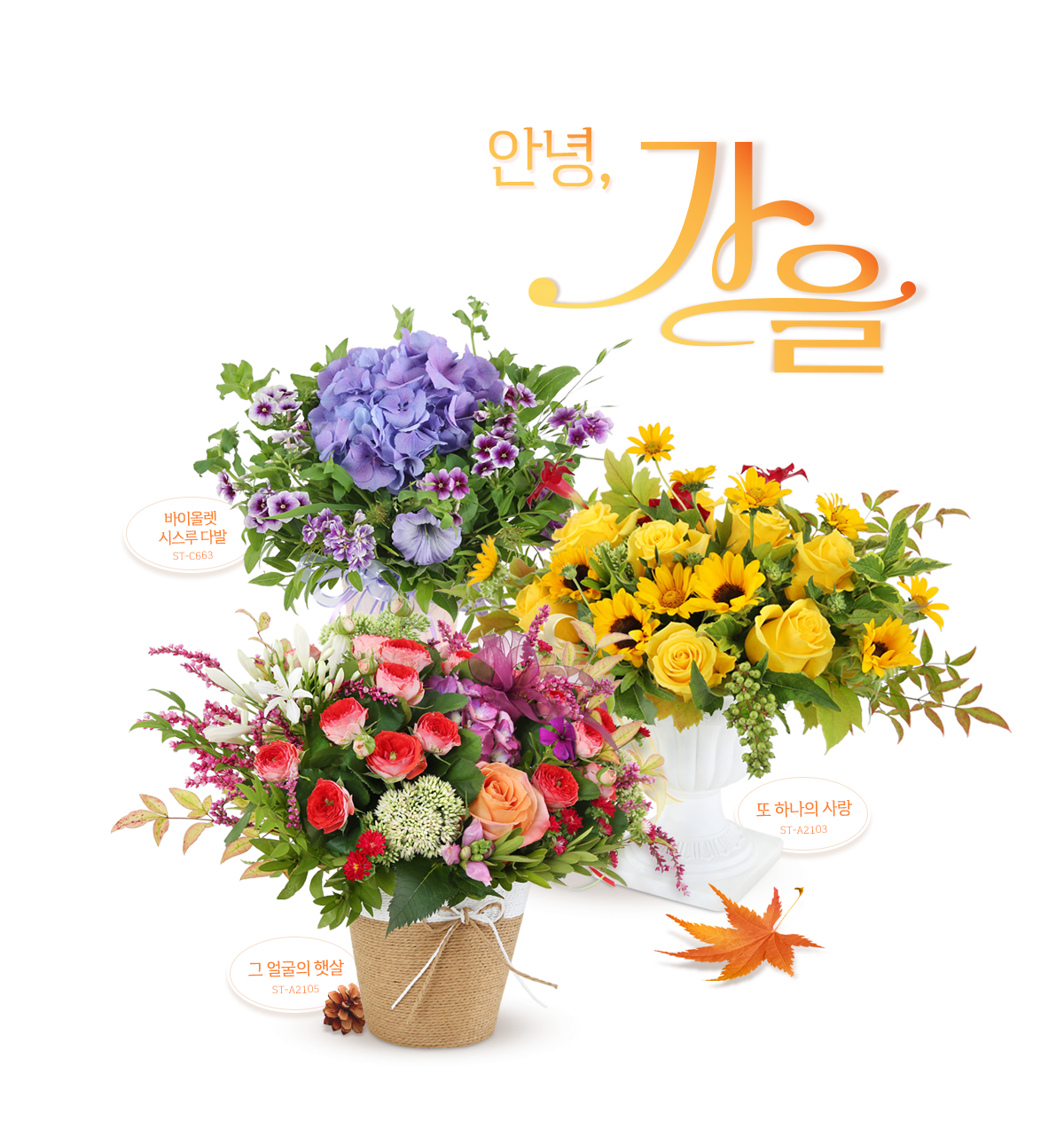 가을기획전