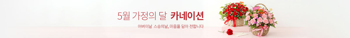 가정의 달 기획전