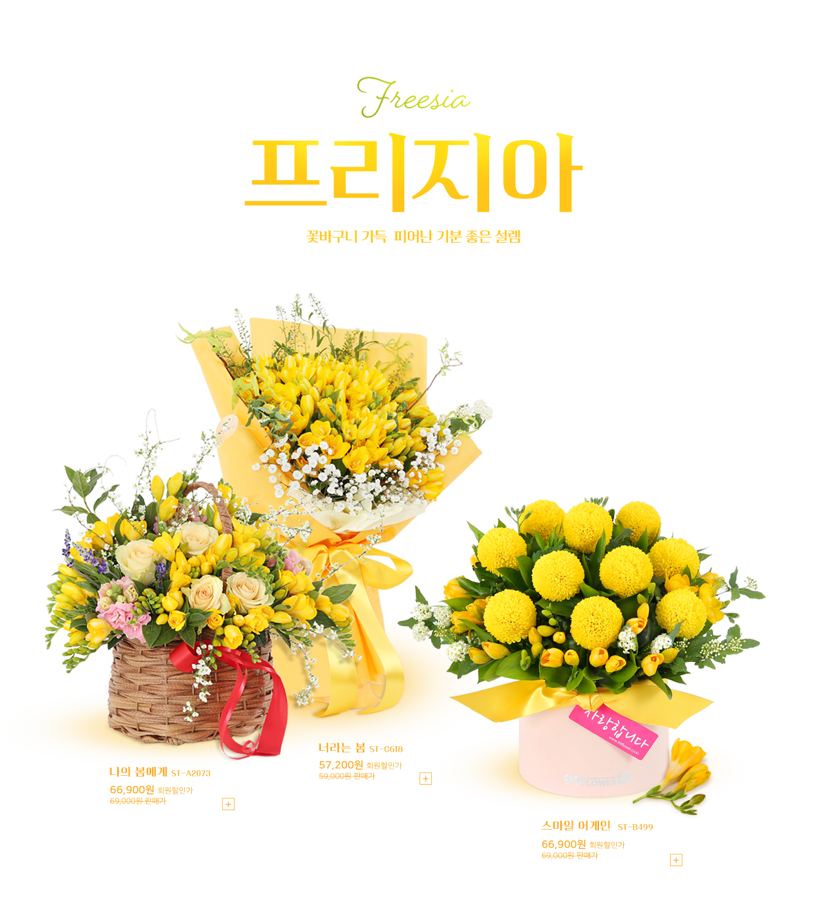 2024 ��������