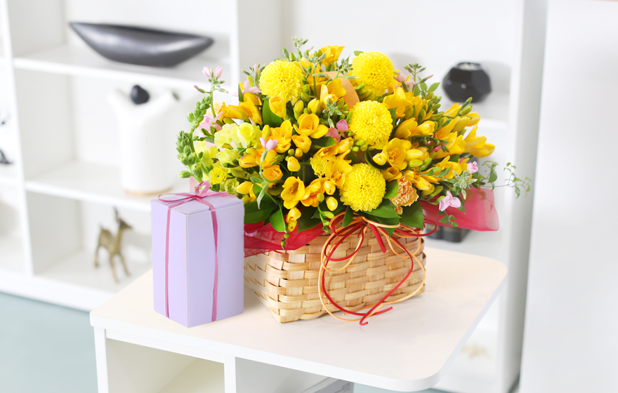 ȭ��Ʈ���� �ɹٱ��� - ���� ������ �� �ɹٱ���, ĵ������, 99�ö�� | 76,600��