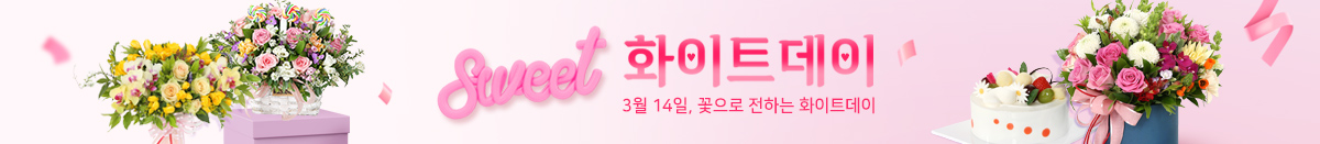 ȭ��Ʈ����