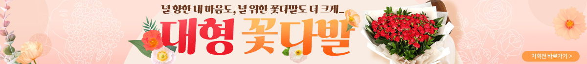 ɴٹ ȹ