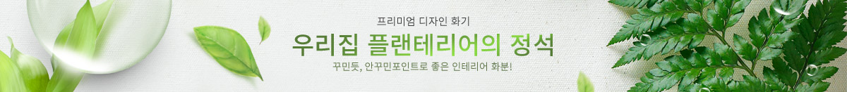 �����̾� ȭ��