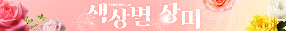 ���� ��̸���