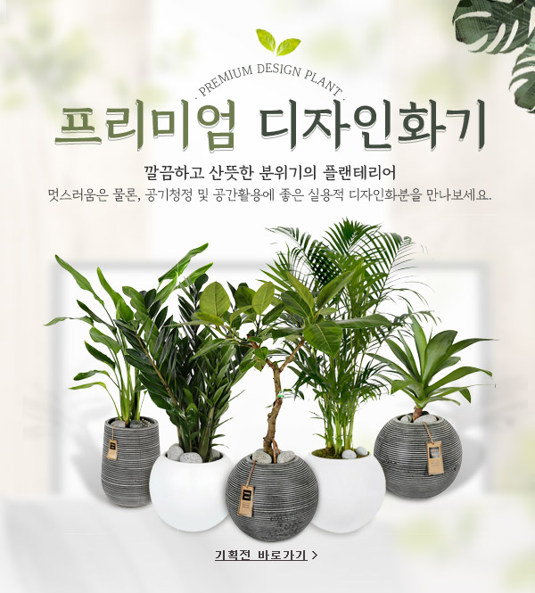 시즌기획전 배너