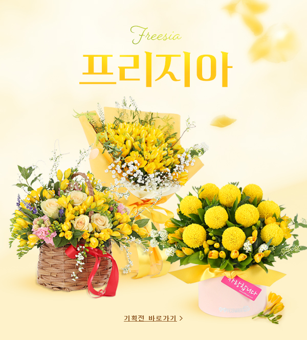 시즌기획전 배너