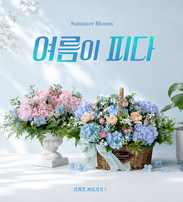 시즌기획전 배너