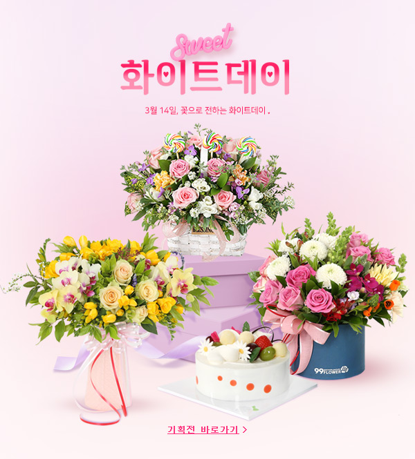 �����ȹ�� ���